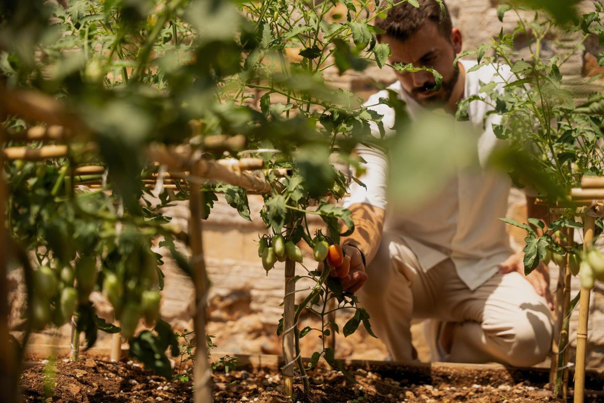 Minos Palace Resort - Adults Only Ágios Nikólaos Екстериор снимка A farmer in the Negev